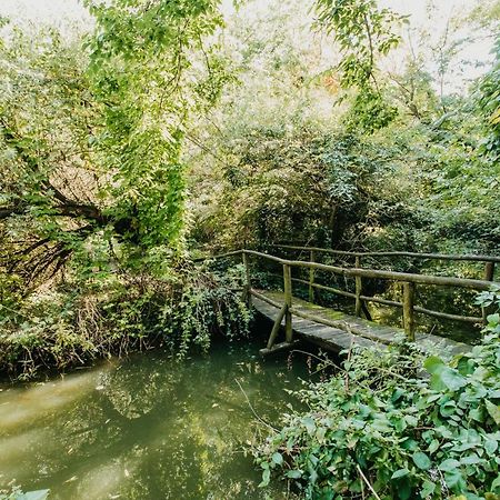 Forest House Palic Ngoại thất bức ảnh