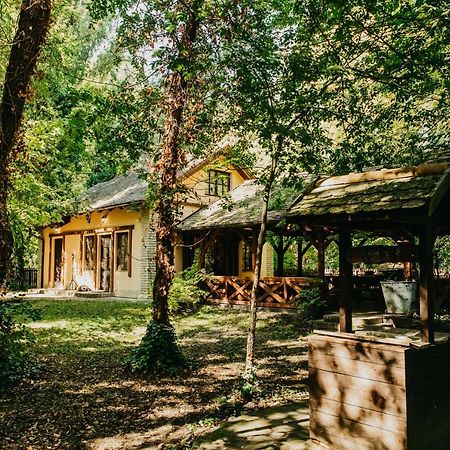 Forest House Palic Ngoại thất bức ảnh