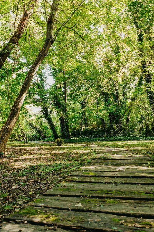 Forest House Palic Ngoại thất bức ảnh