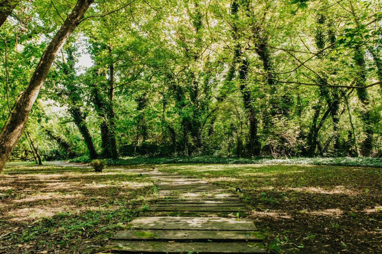Forest House Palic Ngoại thất bức ảnh