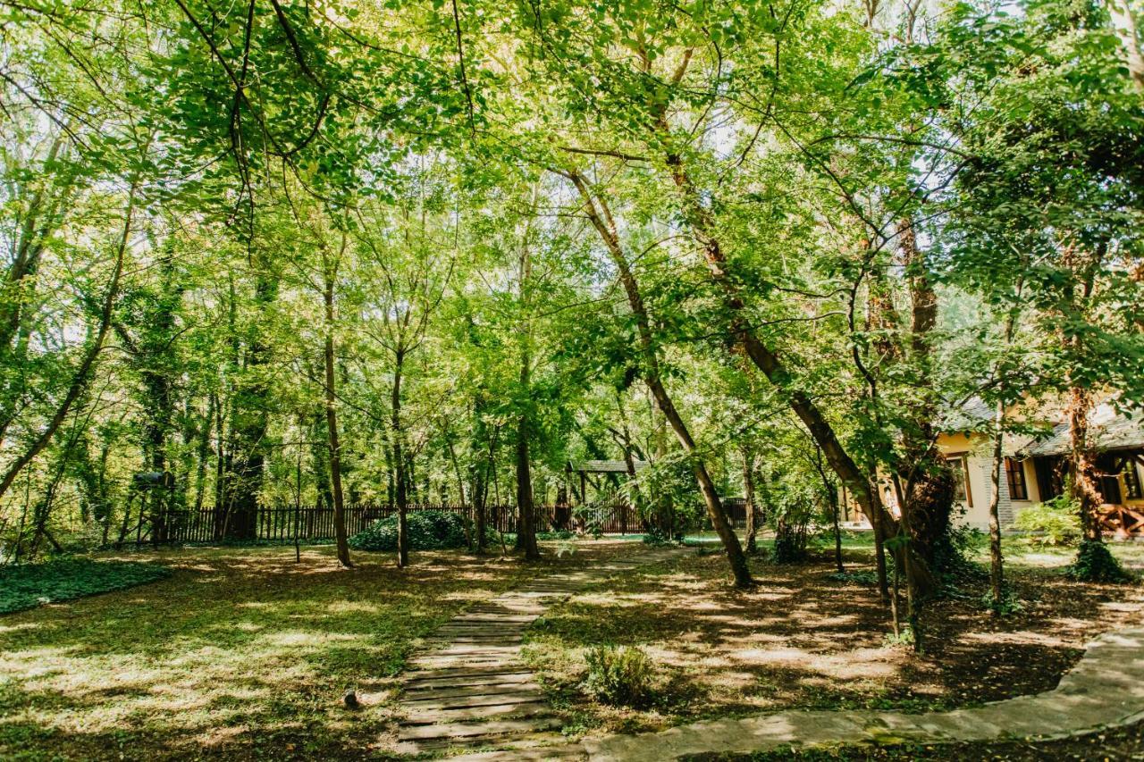 Forest House Palic Ngoại thất bức ảnh