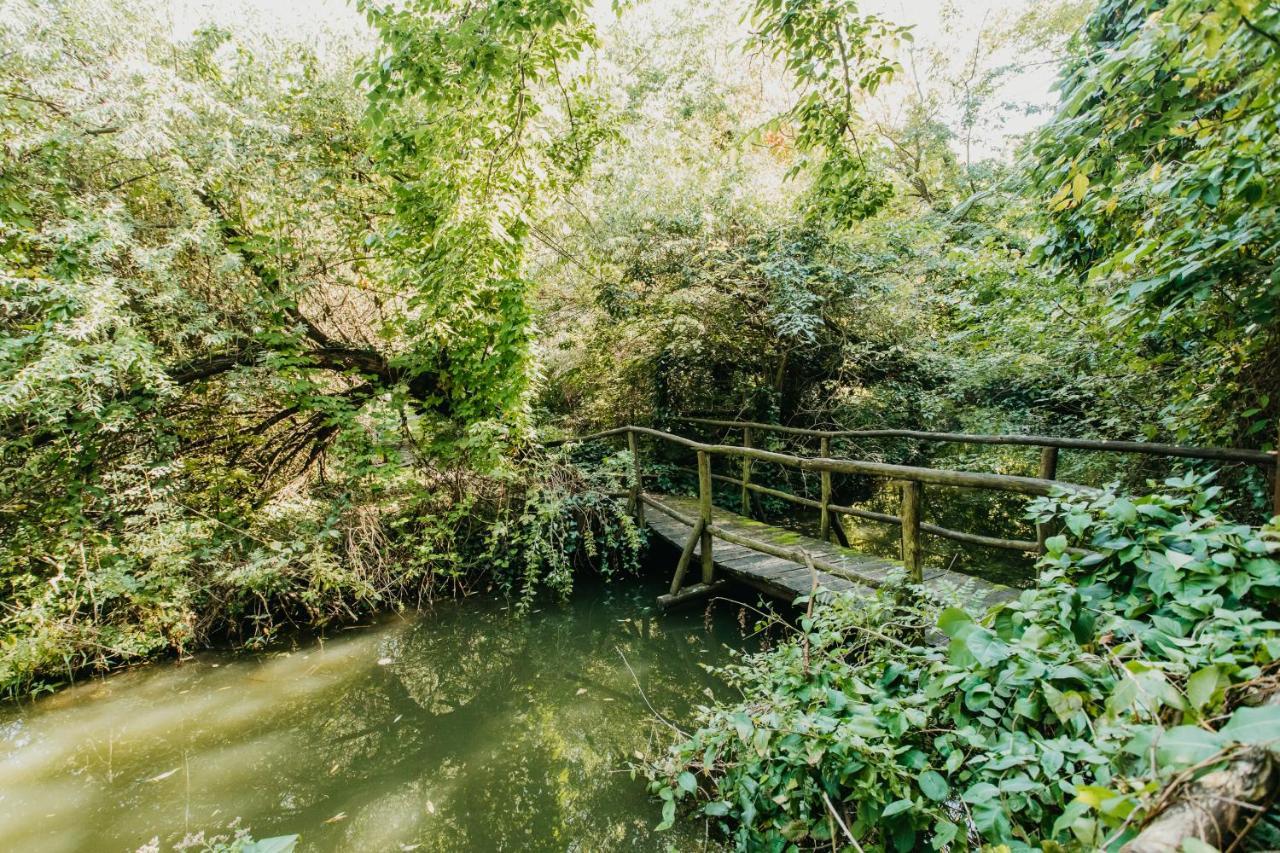 Forest House Palic Ngoại thất bức ảnh