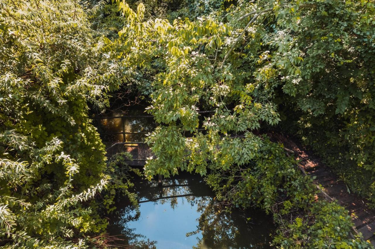 Forest House Palic Ngoại thất bức ảnh