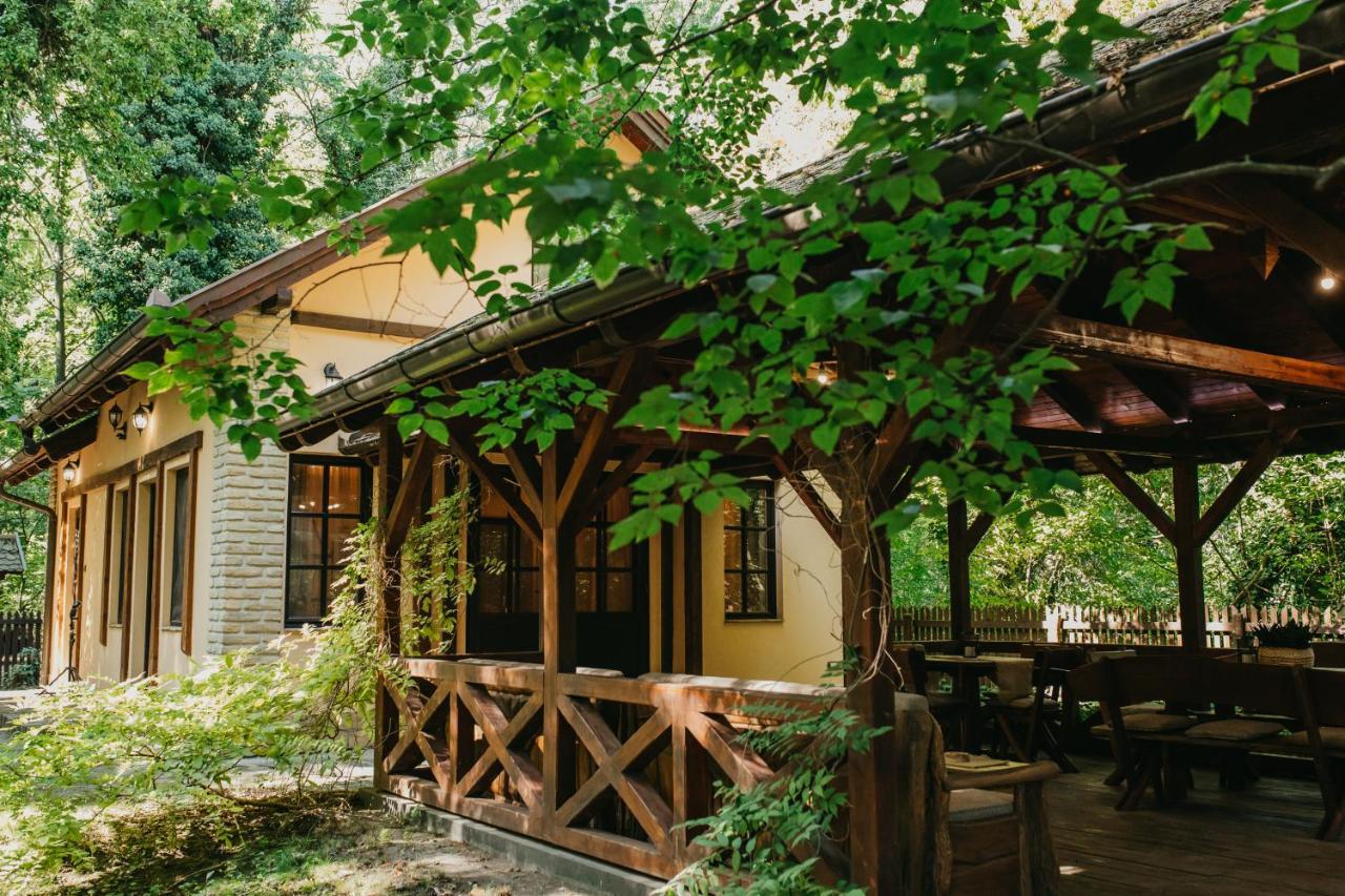 Forest House Palic Ngoại thất bức ảnh