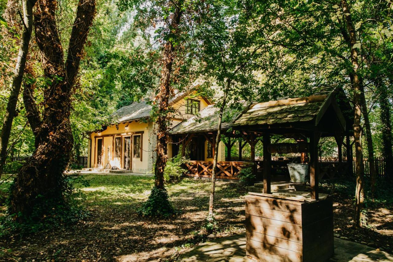 Forest House Palic Ngoại thất bức ảnh
