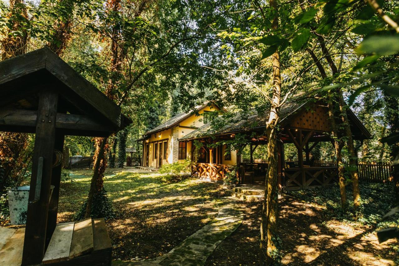Forest House Palic Ngoại thất bức ảnh