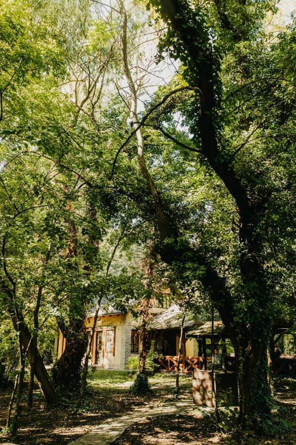 Forest House Palic Ngoại thất bức ảnh