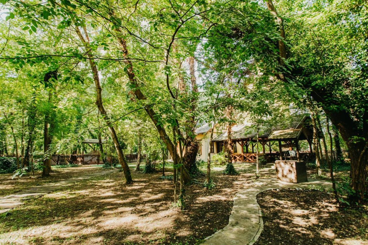 Forest House Palic Ngoại thất bức ảnh